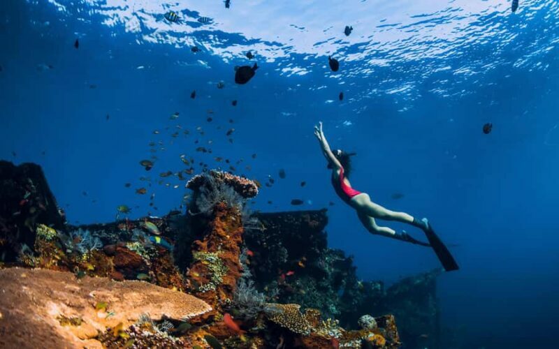 Bali/Nusa Penida: Manta Point Snorkel Boat & West Coast Tour - An Overview of the Tour Experience
