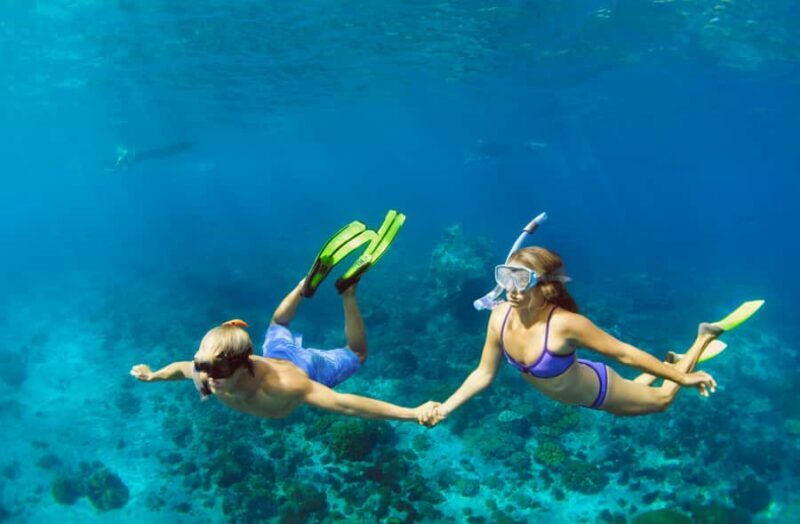 Bali/Nusa Penida: Manta Point Snorkel Boat & West Coast Tour - In The Sum Up