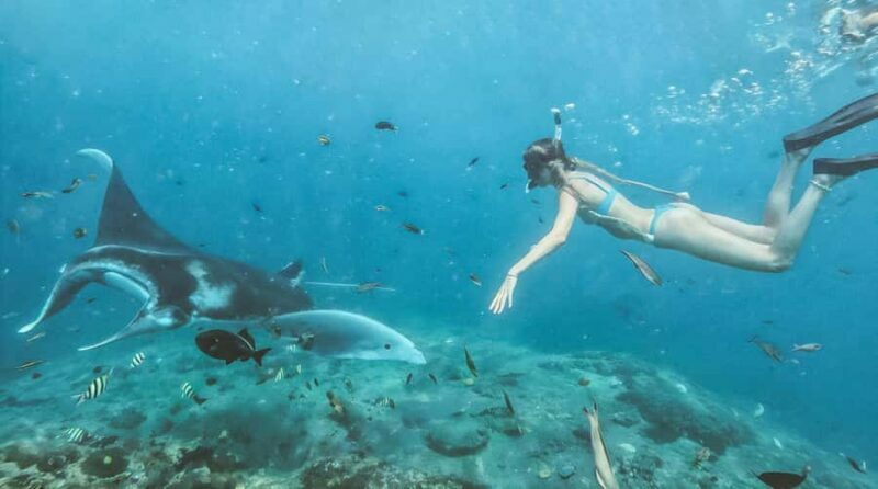 Bali/Nusa Penida: Manta Point Snorkeling & West Coast Tour - What to Expect on This Tour