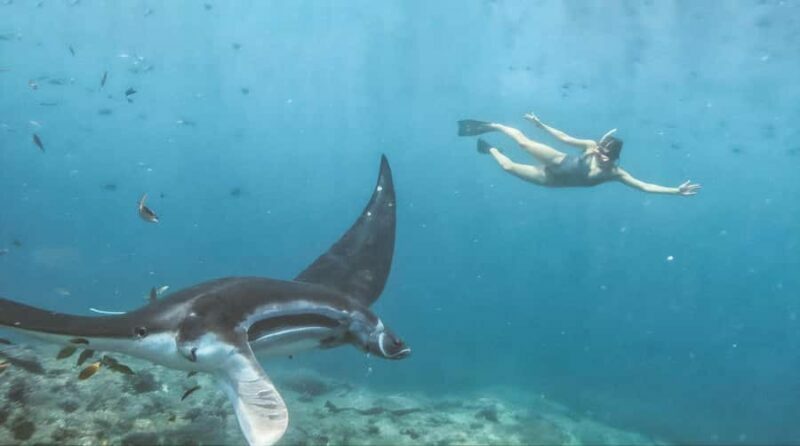 Bali/Nusa Penida: Manta Point Snorkeling & West Coast Tour - Who Should Consider This Tour?