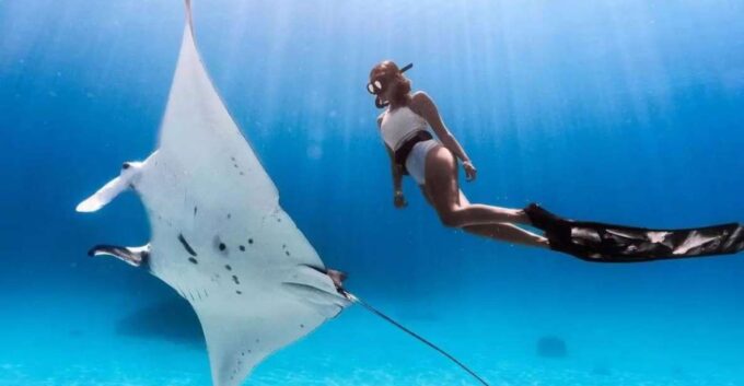 Bali/Nusa Penida: Manta Point Snorkeling & West Coast Tour - Pickup and Drop-off Locations