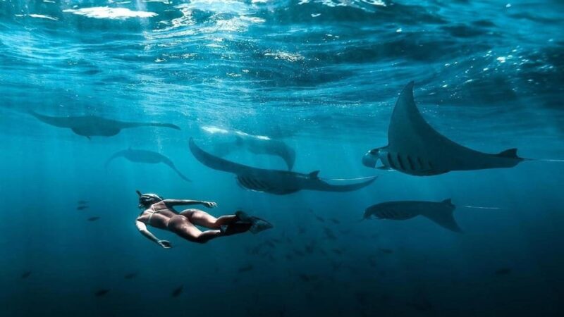 Bali: Nusa Penida Snorkeling Adventure and Island Tour - Key Points
