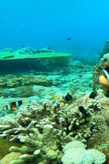 Bali: Nusa Penida Snorkeling Adventure and Island Tour - Frequently Asked Questions