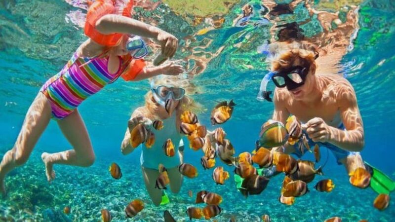 Bali: Nusa Penida Snorkeling and Kelingking Beach Tour - Itinerary Details