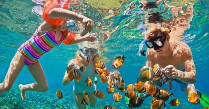 Bali: Nusa Penida Snorkeling and Kelingking Beach Tour - Highlights of the Tour