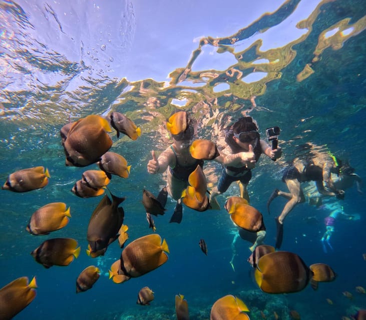 Bali: Nusa Penida Snorkeling and West Tour With Transfers - Key Points