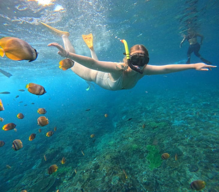 Bali: Nusa Penida Snorkeling and West Tour With Transfers - Itinerary Highlights