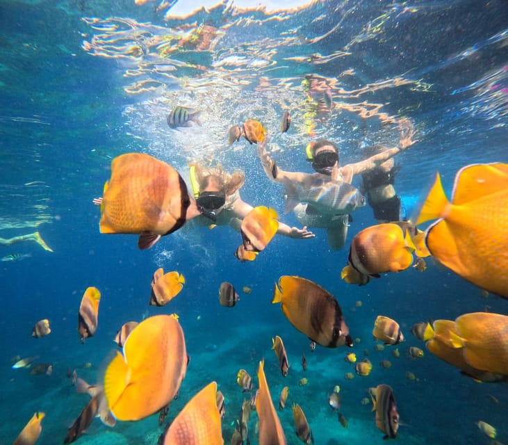 Bali: Nusa Penida Snorkeling and West Tour With Transfers - Snorkeling Experiences