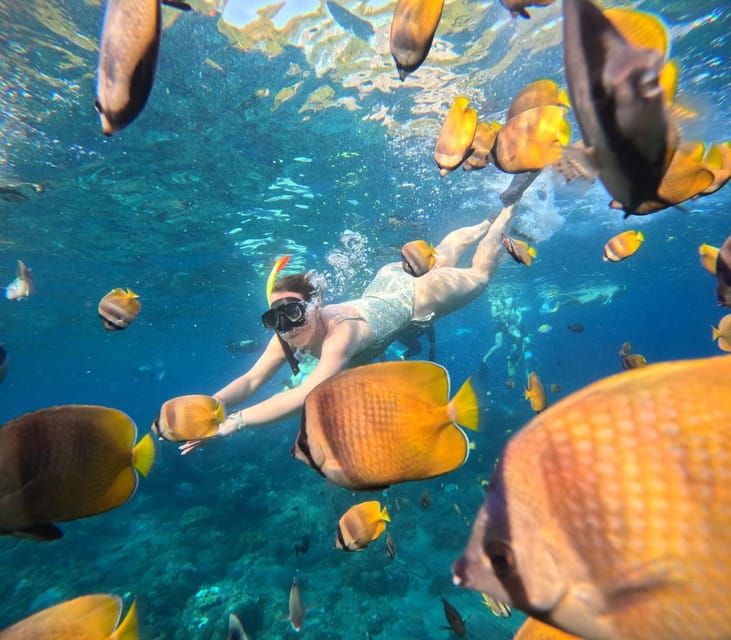 Bali: Nusa Penida Snorkeling and West Tour With Transfers - Swimming and Relaxation