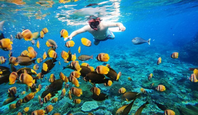 Bali: Nusa Penida Snorkeling Tour With Hotel Transfers - Important Information