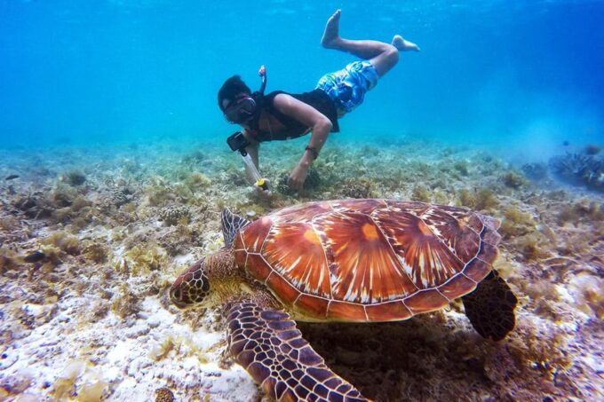 Bali: Nusa Penida Speedboat Trip With Snorkeling and Tour - Customer Reviews