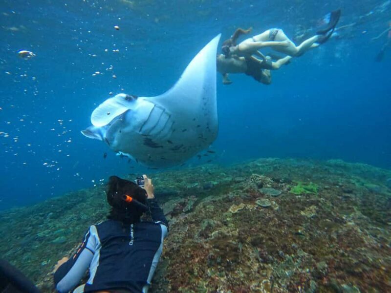 Bali: Nusa Penida Tour with Lunch & Manta Point Snorkeling - Key Points