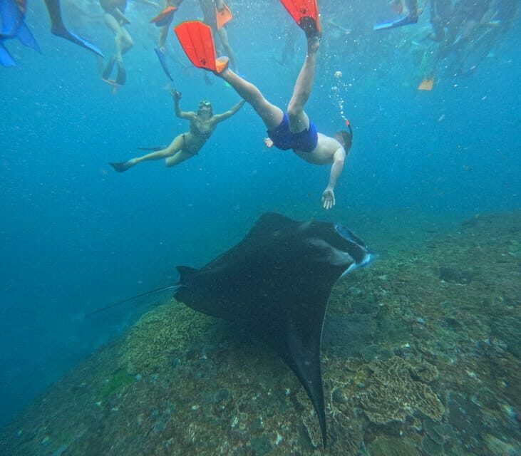 Bali: Nusa Penida Tour with Lunch & Manta Point Snorkeling - The Practical Side: Transportation, Duration, and Value