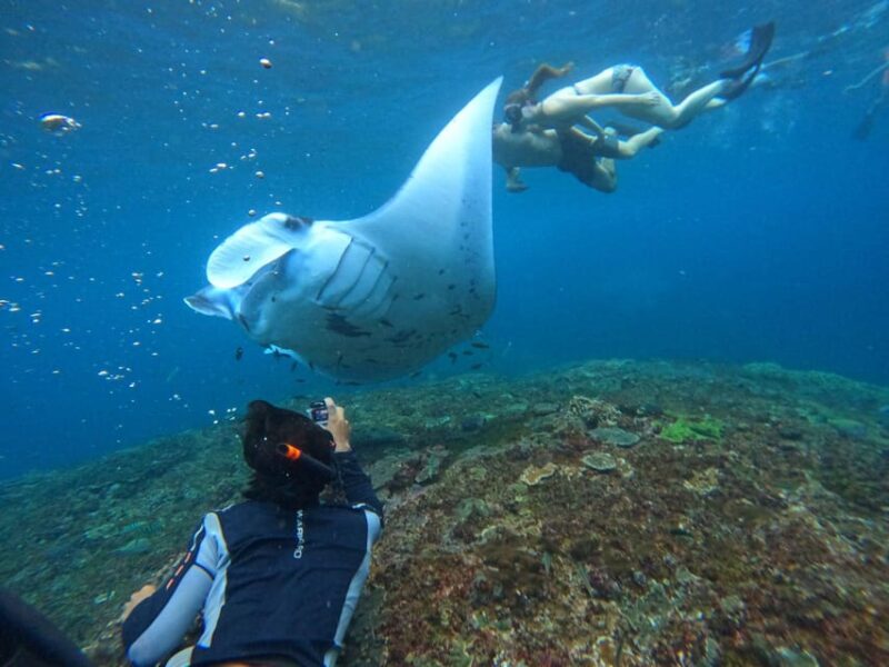 Bali: Nusa Penida Tour With Lunch & Manta Point Snorkelling - Inclusions and Amenities