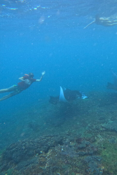 Bali: Nusa Penida Tour With Lunch & Manta Point Snorkelling - Manta Rays Visibility