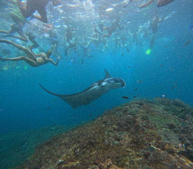Bali: Nusa Penida Tour With Lunch & Manta Point Snorkelling - Cancellation Policy