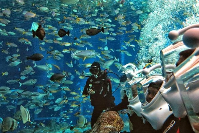 Bali Ocean Walker - Inclusions