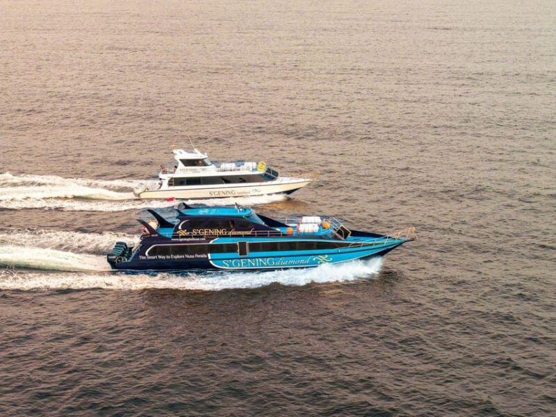 Bali: One Way Fast Boat to Nusa Penida From Sanur - Overview of Sgening Fast Boat