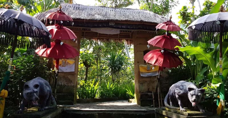 Bali Package in Low Budget - Accommodation Details