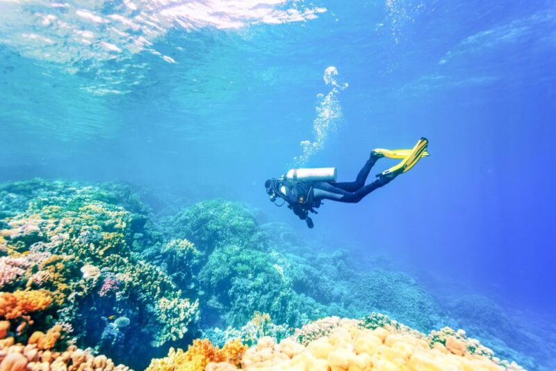 Bali: Padangbai Blue Lagoon Beginners Dive Experience - Transportation and Pickup Options