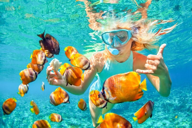 Bali: Padangbai Blue Lagoon Snorkeling Day Trip - Key Points