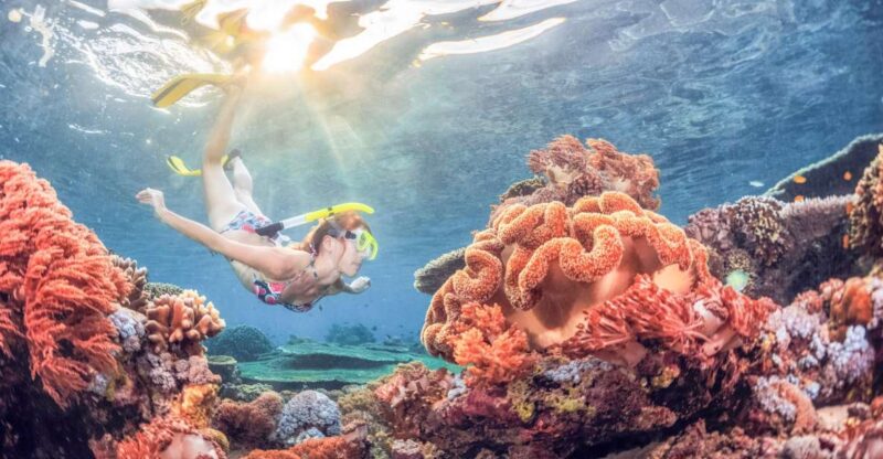 Bali: Padangbai Blue Lagoon Snorkeling Day Trip - Itinerary and Experience