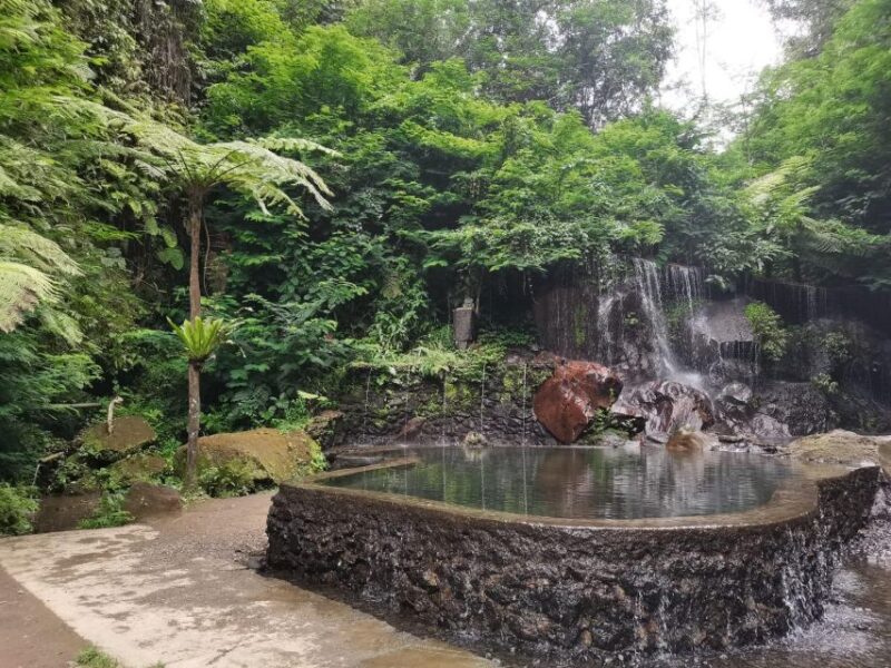 Bali: Penglipuran Village, Besakih Temple & Hidden Waterfall - Itinerary Highlights