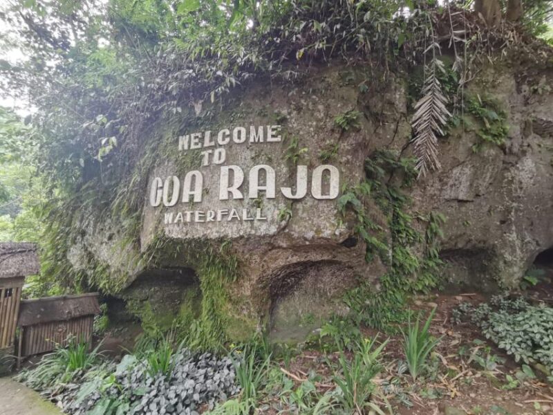 Bali: Penglipuran Village, Besakih Temple & Hidden Waterfall - Cultural and Natural Attractions