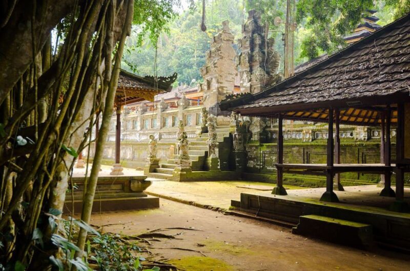 Bali: Penglipuran Village, Temples, and More Full Day Tour - Inclusions and Recommendations