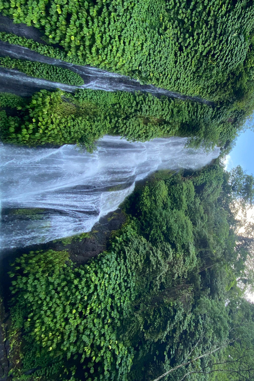Bali Privat Tour and Waterfall - Key Points