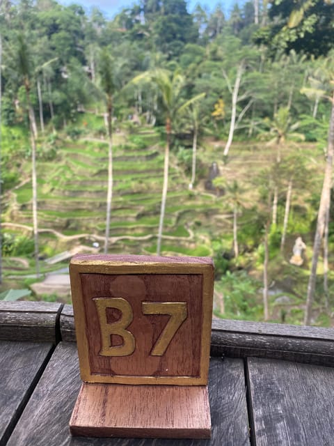 Bali Privat Tour and Waterfall - Tour Overview and Pricing