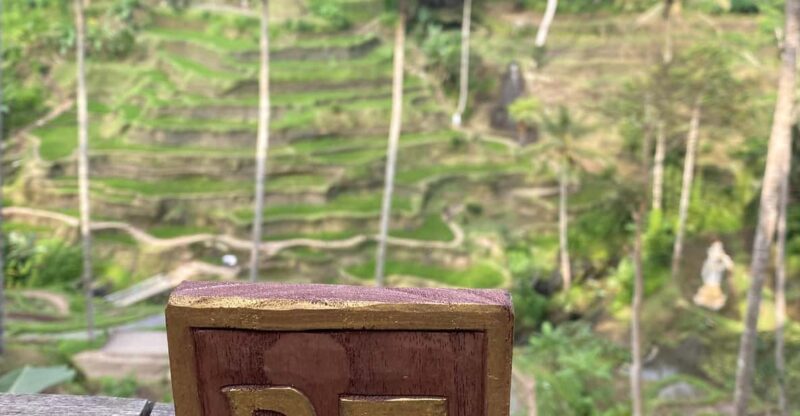 Bali Privat Tour and Waterfall - Itinerary Highlights
