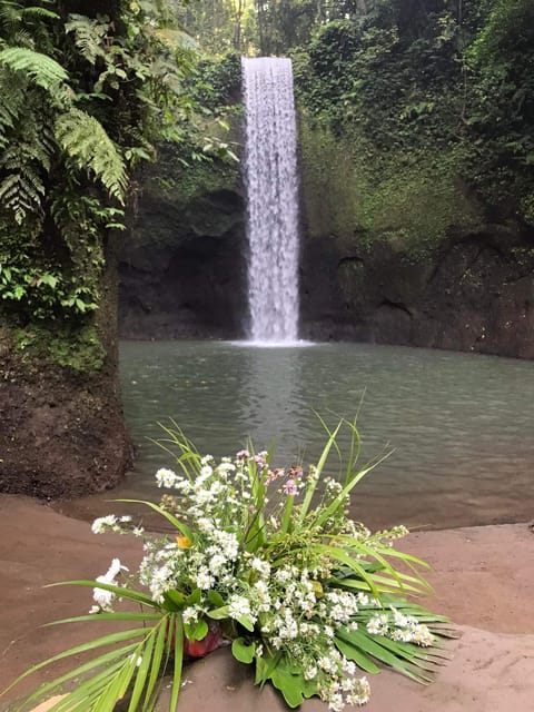 Bali Privat Tour and Waterfall - Goa Raja Waterfall
