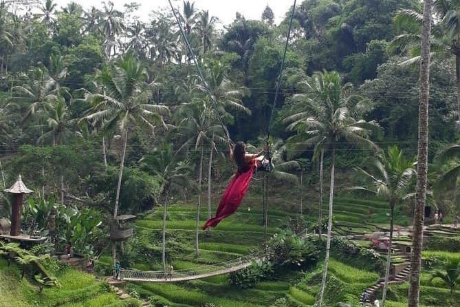 Bali Private 3 Days Tour Package Highlight - Reviews and Ratings