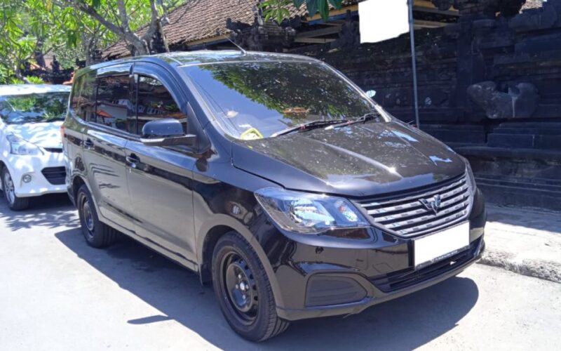 Bali : Private Car Between Airport - Amed/Candidasa Area - Transportation Features