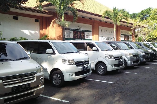 Bali Private Car Charter & Customize Tour With Driver English Speaking-Free WiFi - Accessibility and Participation