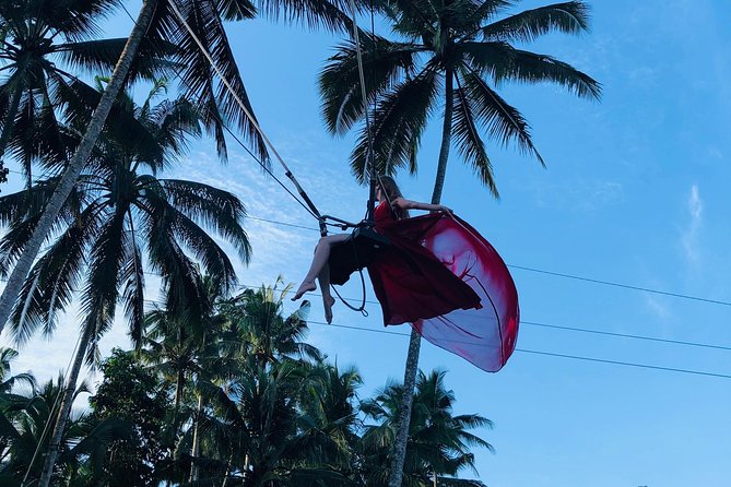 Bali Private Car Charter - Balinese Cultural Immersion