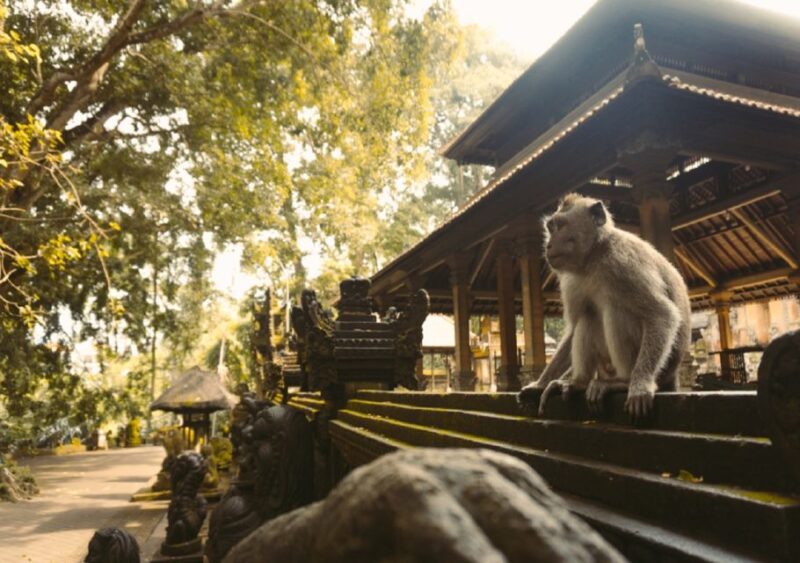 Bali: Private Car Charter With Driver - Health and Safety Precautions