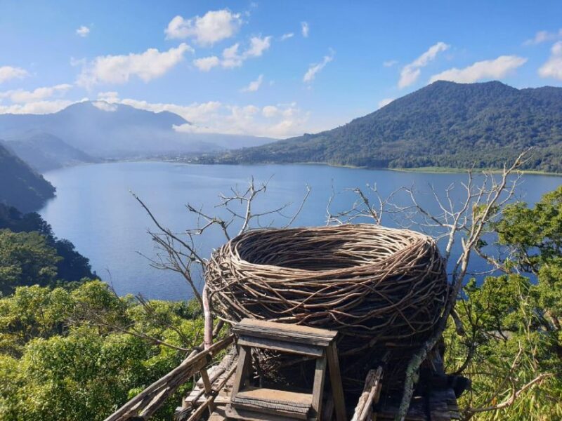 Bali Private Car Charter With English Speaking Driver - Key Points
