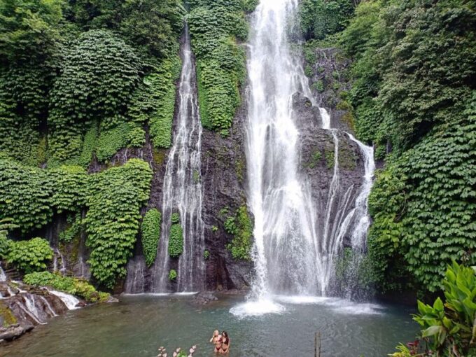 Bali Private Car Charter With English Speaking Driver - Customer Feedback