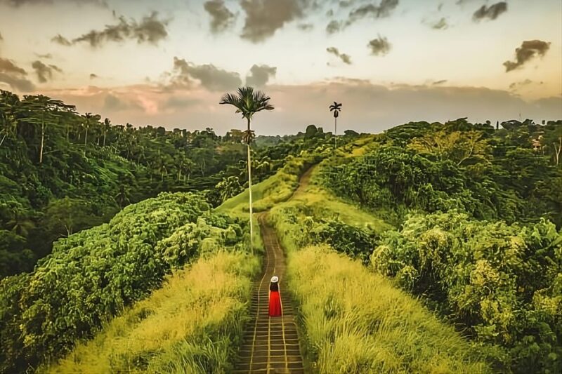 Bali: Private Car Charter With English Speaking Driver - Custom Itinerary and Destinations
