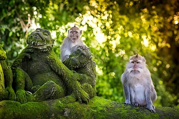 Bali: Private Car Charter With English Speaking Driver - Customer Feedback and Testimonials