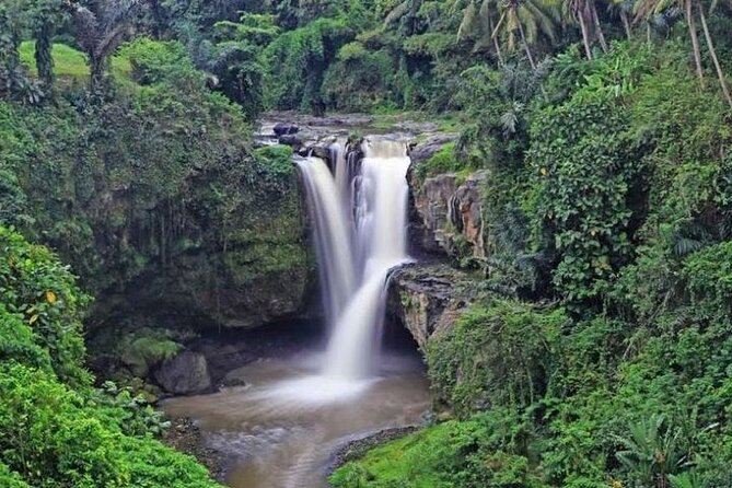 Bali Private Car Charter With English Speaking Driver or Guide - Reviews and Accolades