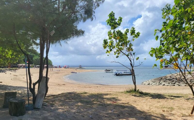 Bali: Private Car Charter With Professional Driver - Key Points