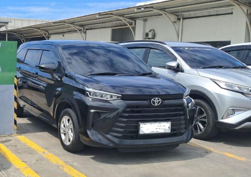 Bali: Private Car Charter With Professional Driver - Experience and Flexibility