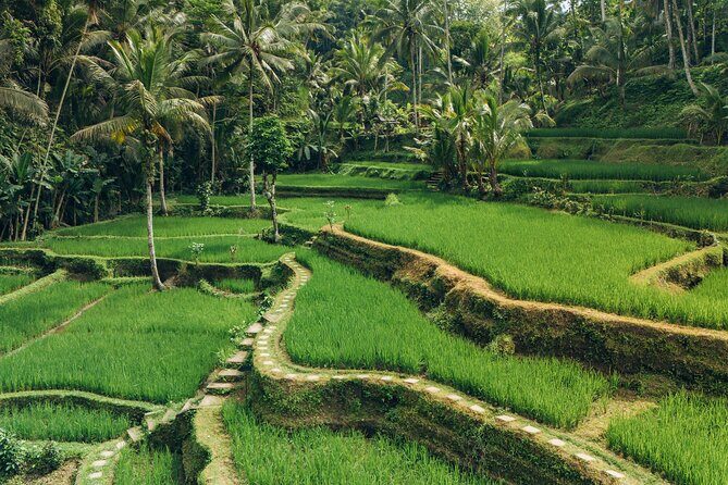 Bali Private Car Full Day Customized Tour With Drone Service - The Sum Up