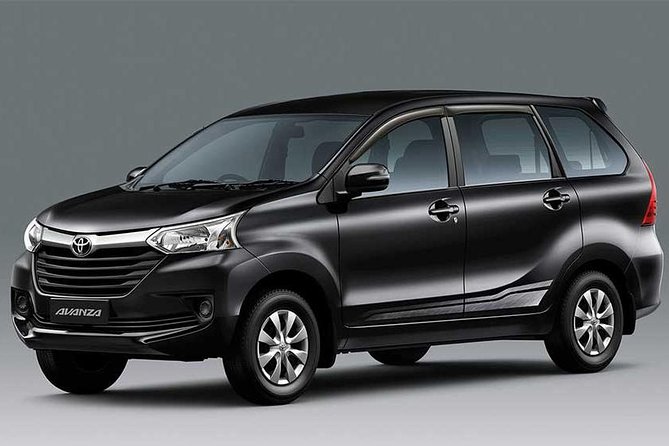 Bali Private Car Hire With Chauffeur - Comfortable Private Vehicle