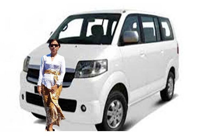 Bali Private Car Hire With Chauffeur - Suitability and Accessibility