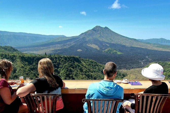 Bali: Private Car or Minibus Charter With Driver - Local Expertise
