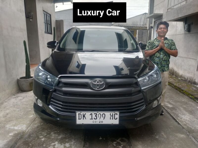 Bali: Private Car or Van Charter With Driver - Vehicle Size and Capacity